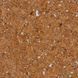 Настінний корок листовий Wicanders Dekwall Hawai White RY77002 81000088 фото 3
