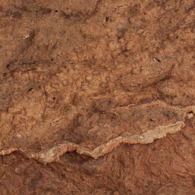 Настенная Кора пробкового дуба Wicanders Сameleon YR02001 YR02001 фото